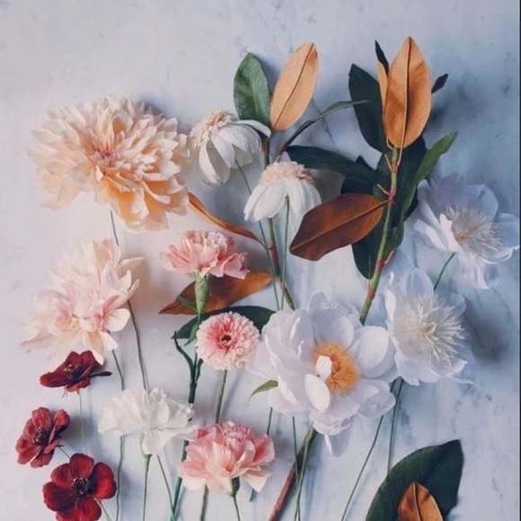 Meet your Posher, Andrea - Picture 1 of 1